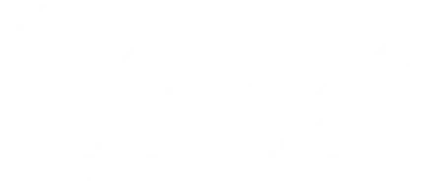 Google Reviews